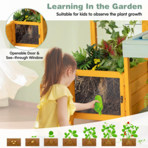 Potager Pédagogique / Educational Garden Bed